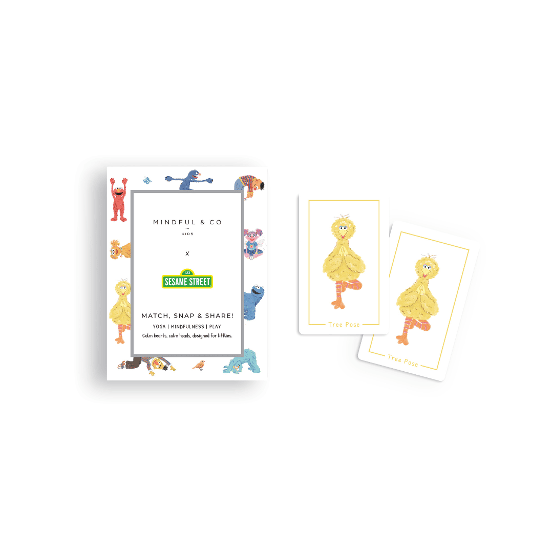 Mindful & Co Kids Sesame Street Adventure Bundle thumbnail 12